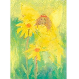 Postal Elfa de Arnica