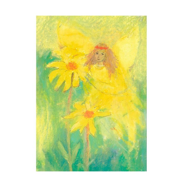 Postal Elfa de Arnica