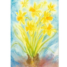 Postal - Los Narcisos.