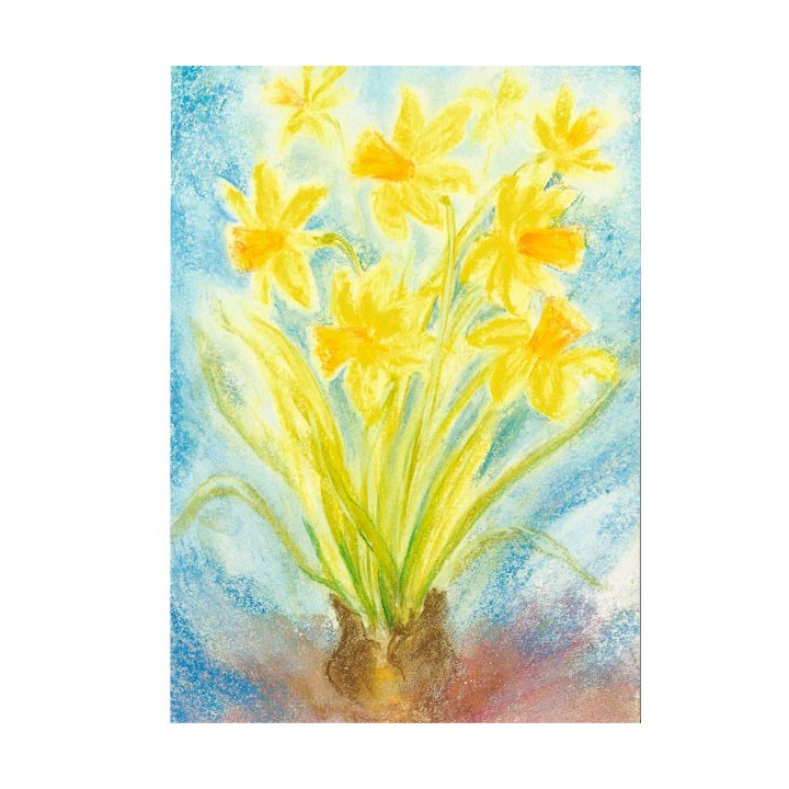 Postal - Los Narcisos.
