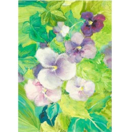 Postal Violetas