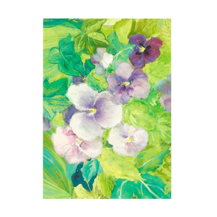 Postal Violetas