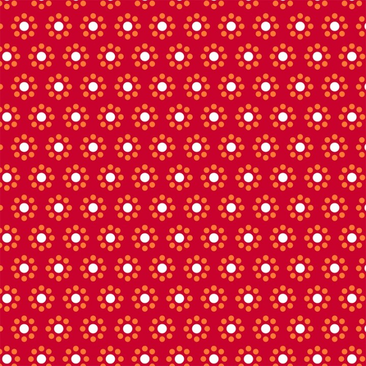 Folia Papel para papiroflexia de un color 160 grs. - Varios tamaños