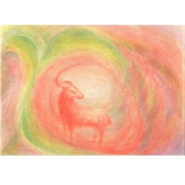 Postal Aries