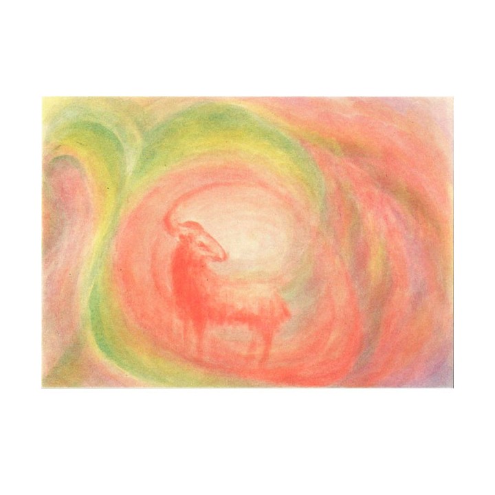 Postal Aries