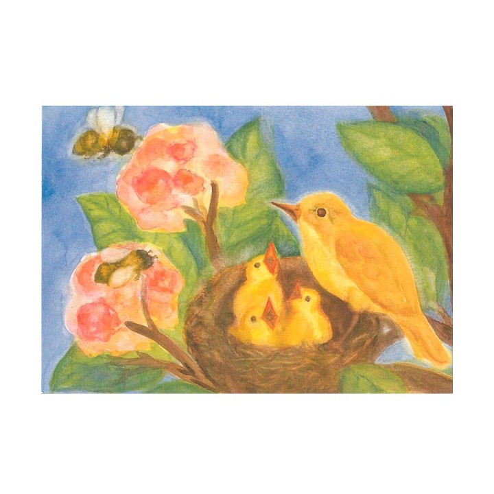 Postal Nido con pájaros 