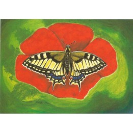 Postal Mariposa Papilionidae
