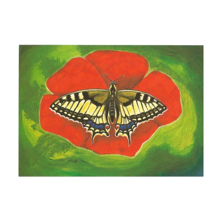 Postal Mariposa Papilionidae