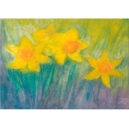 Postal Narcisos