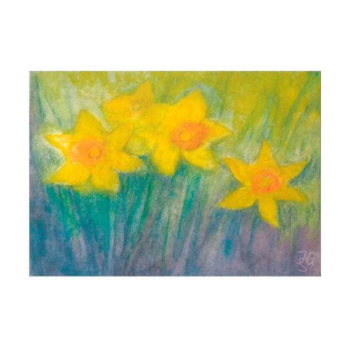 Postal Narcisos