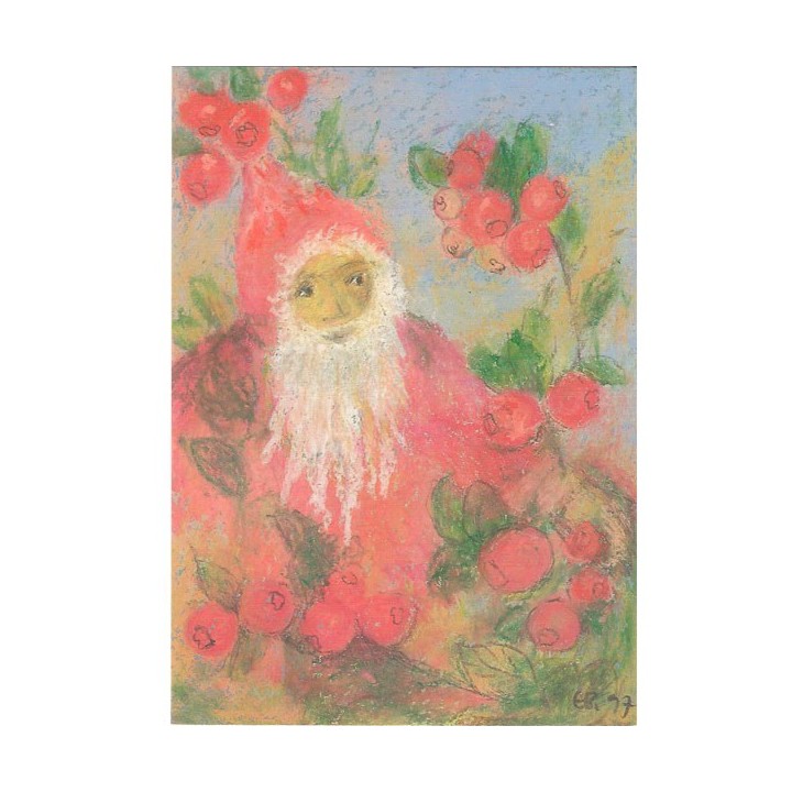 Postal Enanito con arándanos agrios