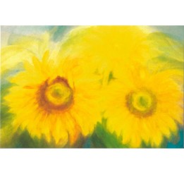 Postal Girasoles