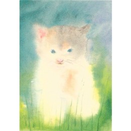 Postal Gatito 