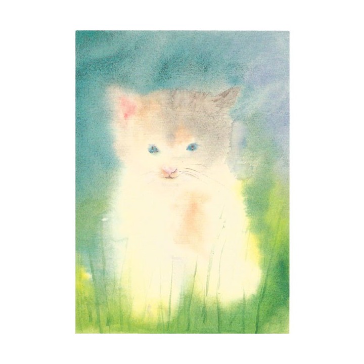 Postal Gatito 