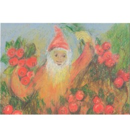 Postal Enanito con arándanos agrios