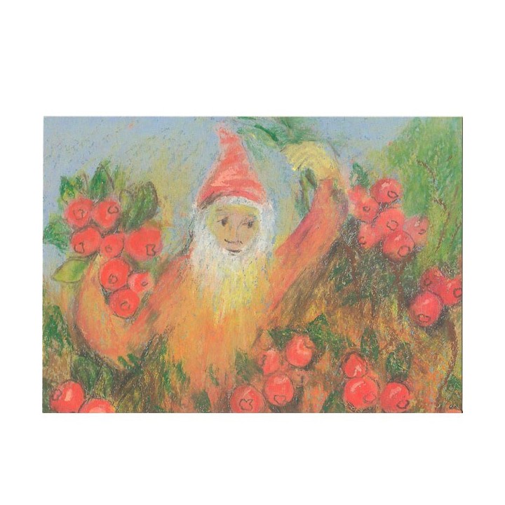 Postal Enanito con arándanos agrios