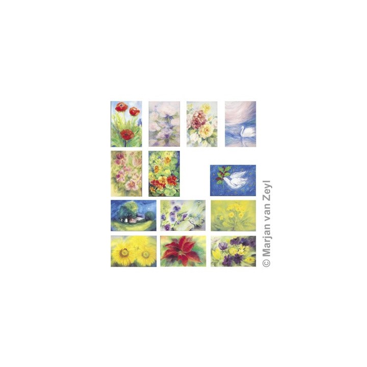 Postales - Las flores.