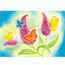 Arbusto de las mariposas