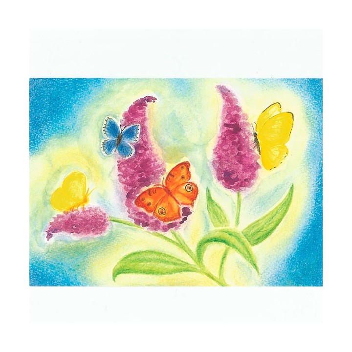 Arbusto de las mariposas