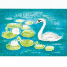 Postal El cisne