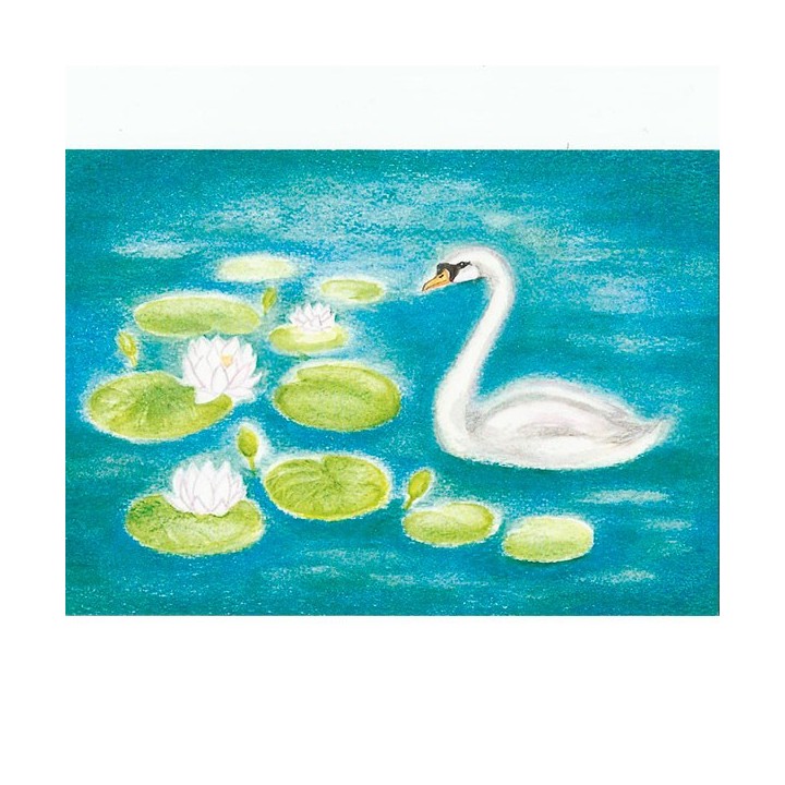 Postal El cisne