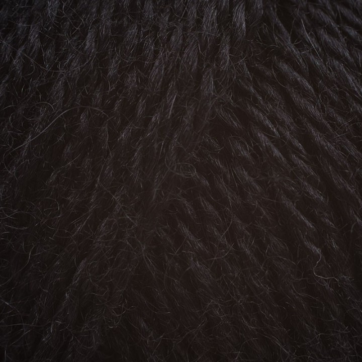 Alpaca