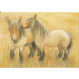 Postal - Caballos belgas