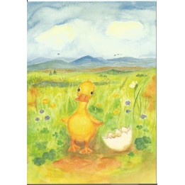 Postal - Pollito