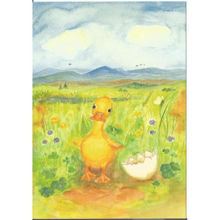 Postal - Pollito