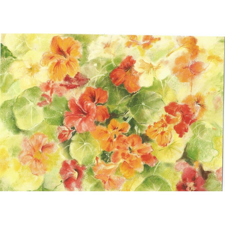 Postal -  La Capuchina Multicolor