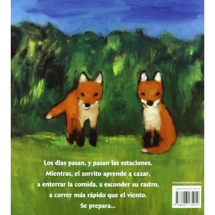El zorrito