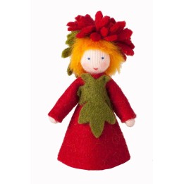 Muñeca flor asterácea