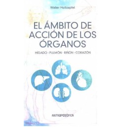 El ámbito de acción de los órganos: Hígado, Pulmón, Riñón, Corazón