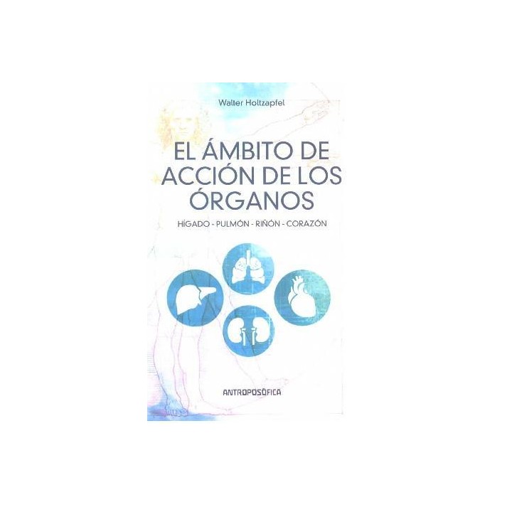 El ámbito de acción de los órganos: Hígado, Pulmón, Riñón, Corazón
