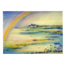 Postal Arco Iris y margaritas