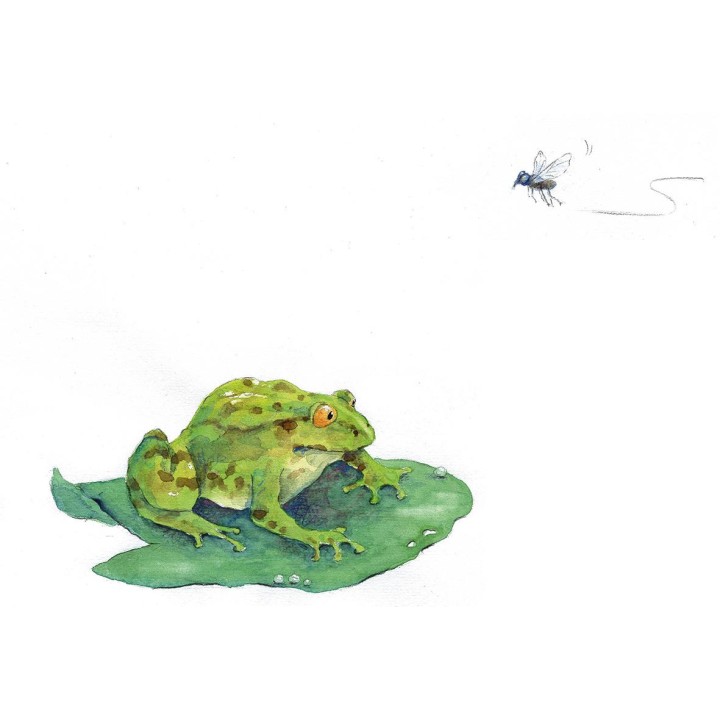 Erbsenfee und Einhornschaf