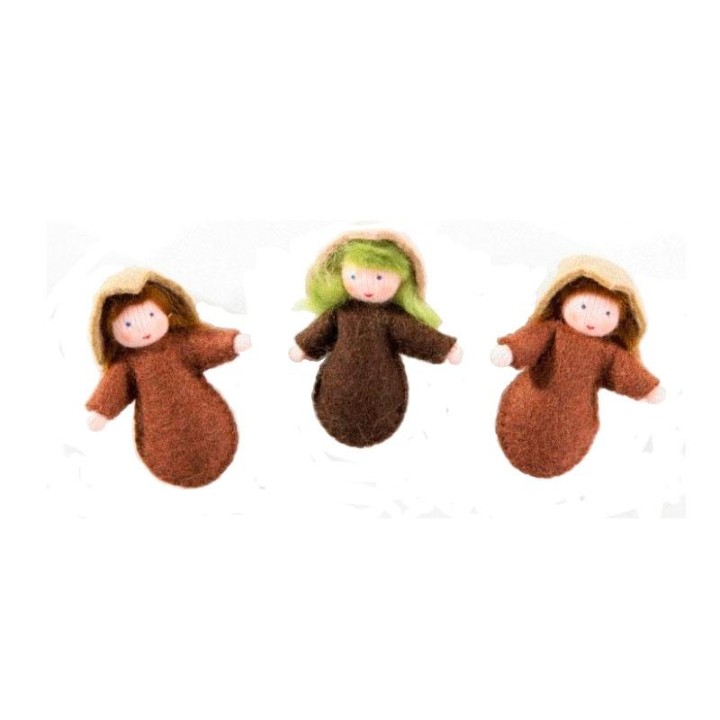 Niños raices