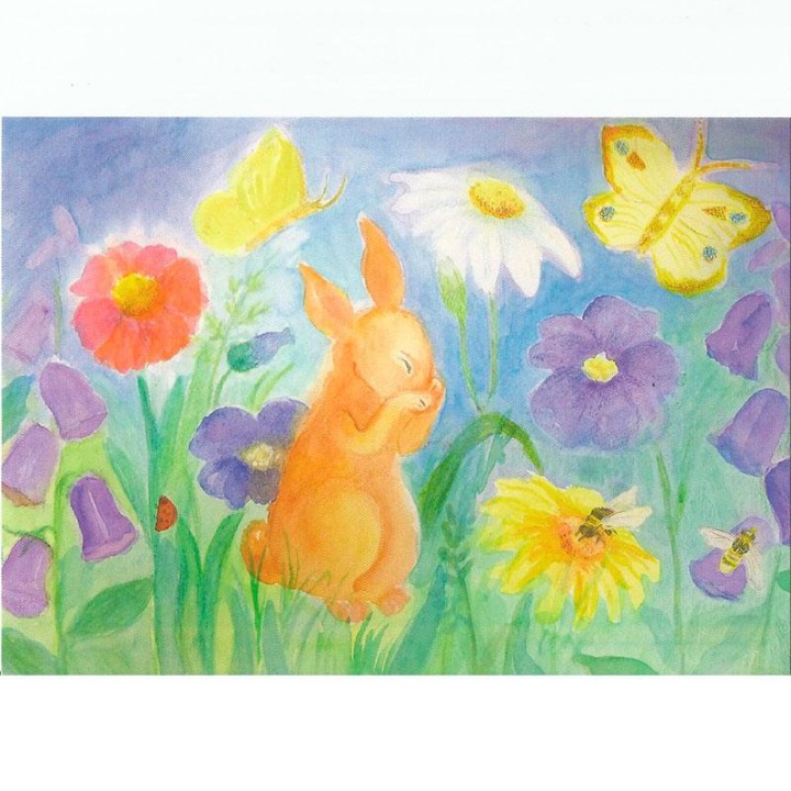 Postal Liebre y mariposa