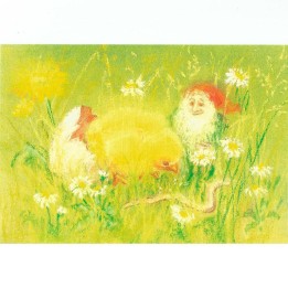 Postal Pollito