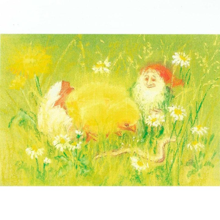 Postal Pollito