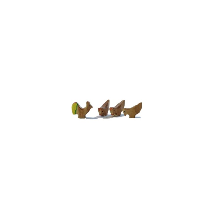 Gallo con gallinas
