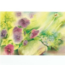 Postal - Las Violetas.