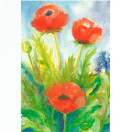 Postal - Las Amapolas.