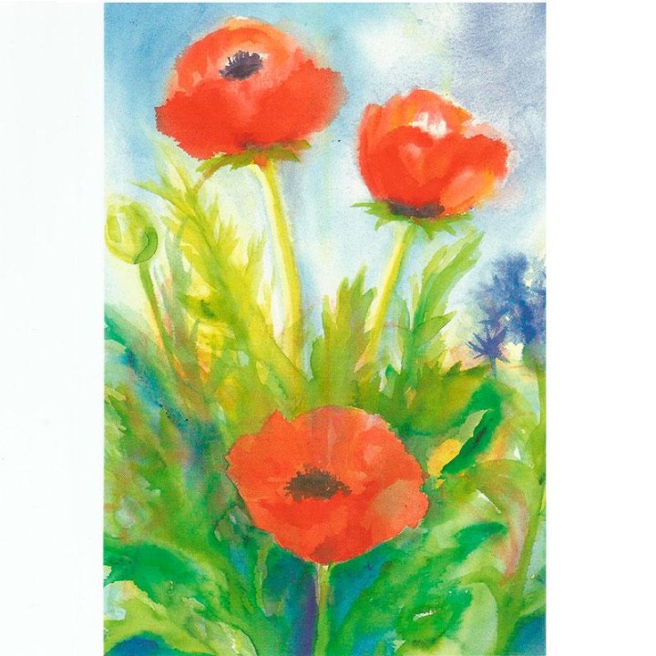 Postal - Las Amapolas.