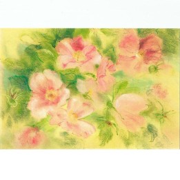 Postal - Las Rosas.