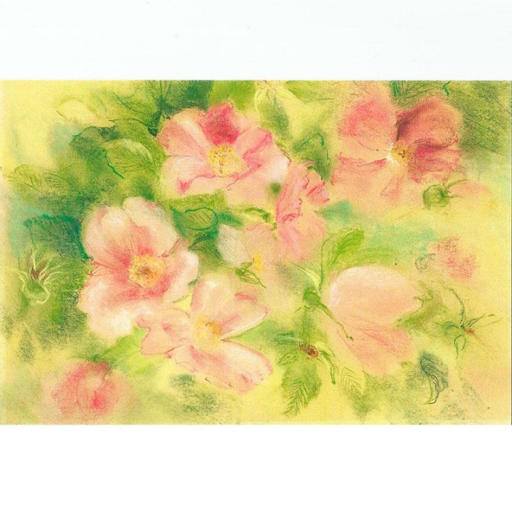 Postal - Las Rosas.