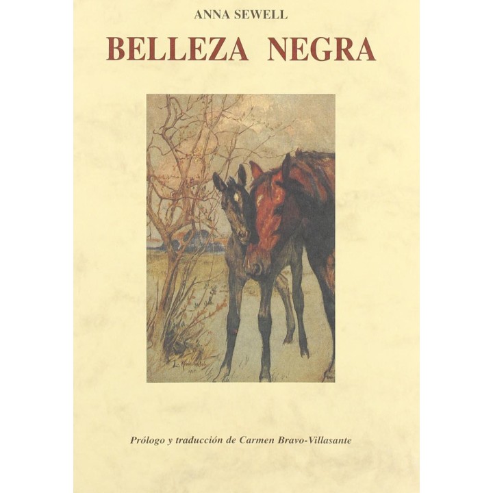 Belleza negra