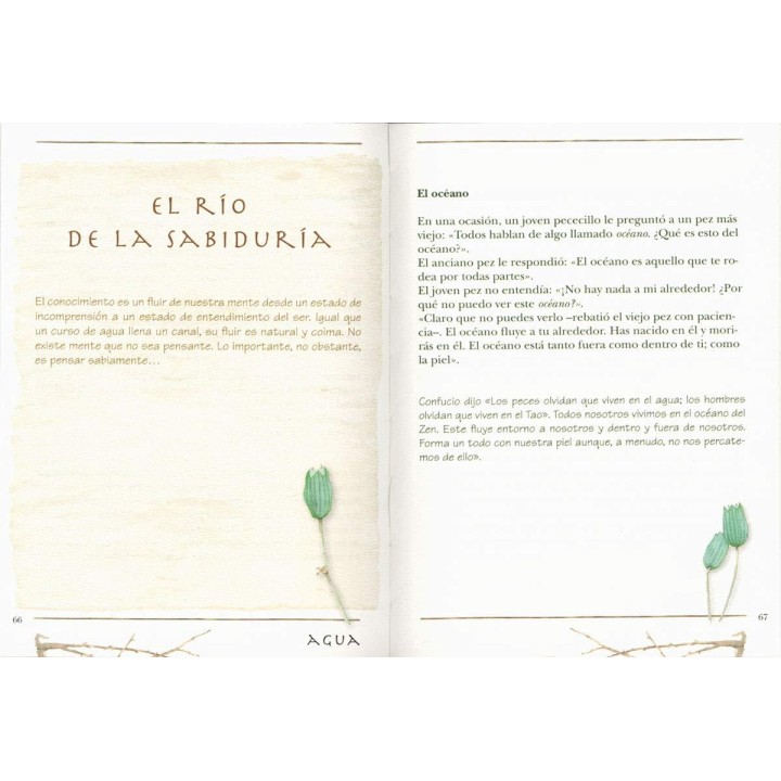 El zen y la tranquilidad del alma