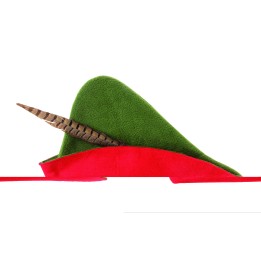 Sombrero Robin Hood