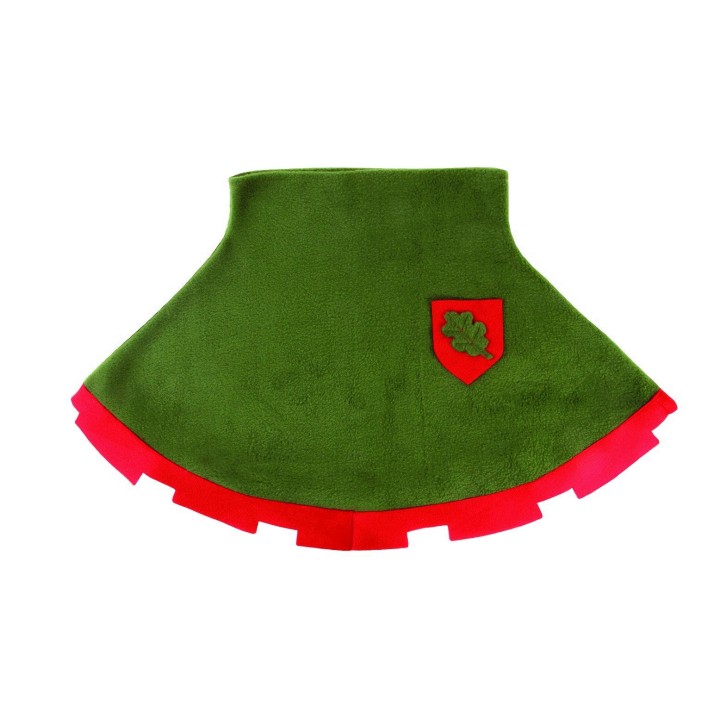 Capa Robin Hood